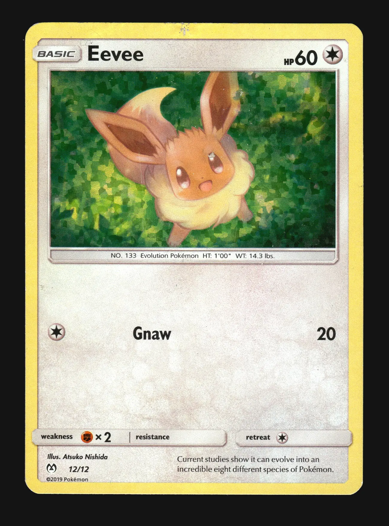 Eevee