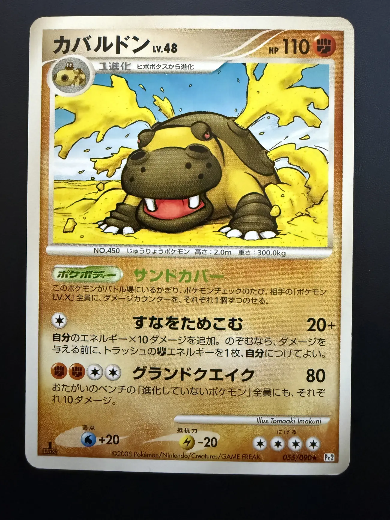 Hippowdon Lv.48