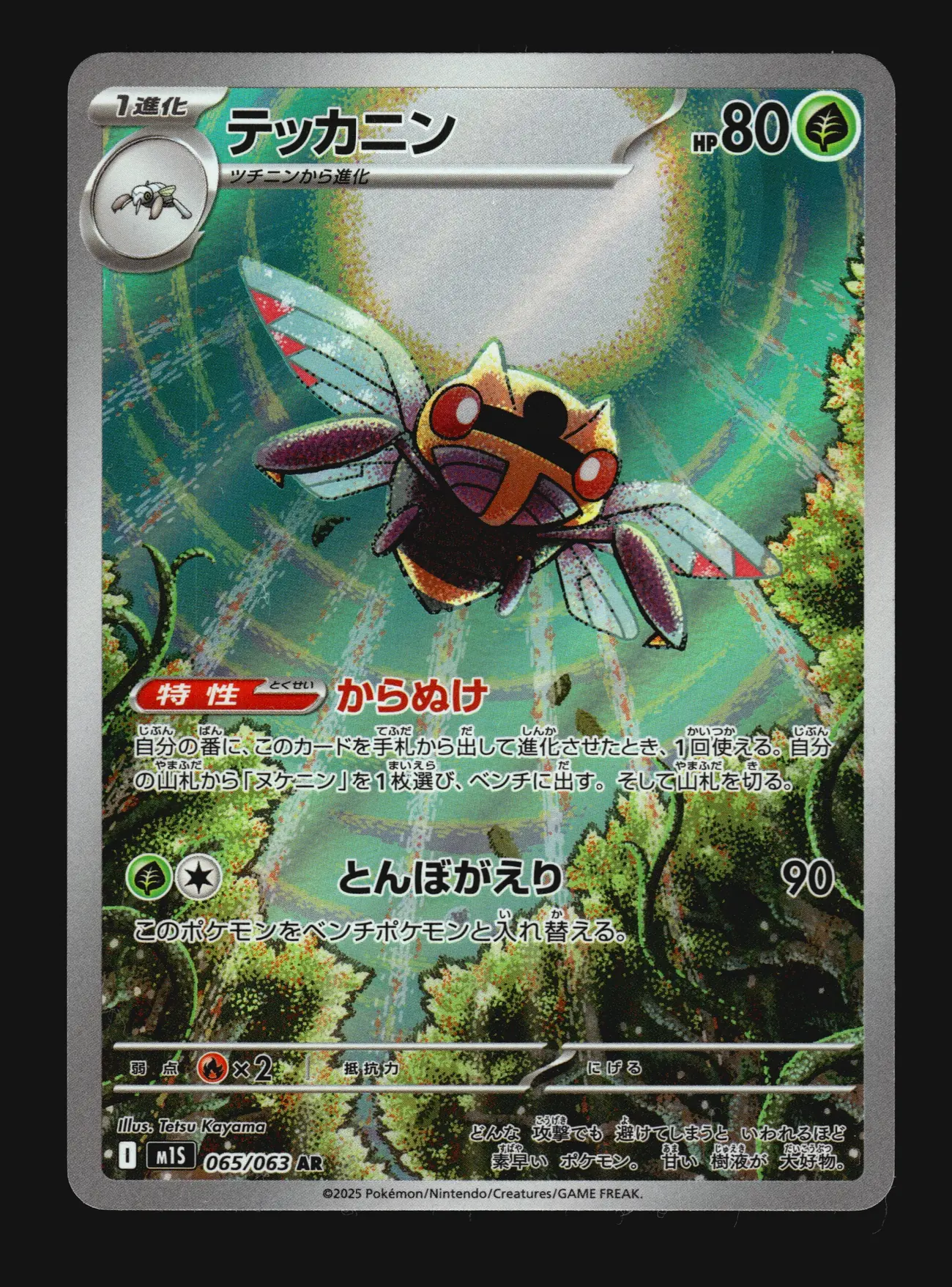 Ninjask