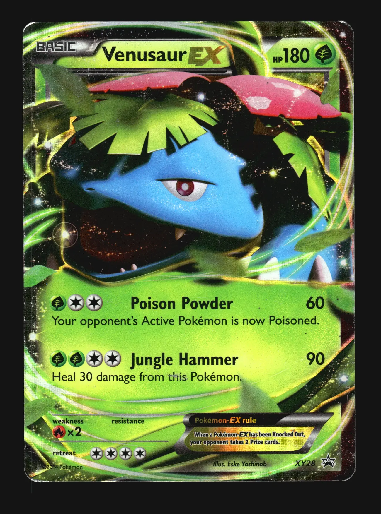 Venusaur EX